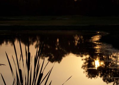Hole 14 A Greystone Golf Course Home Builders Denham Springs, LA Innovative Custom Homes